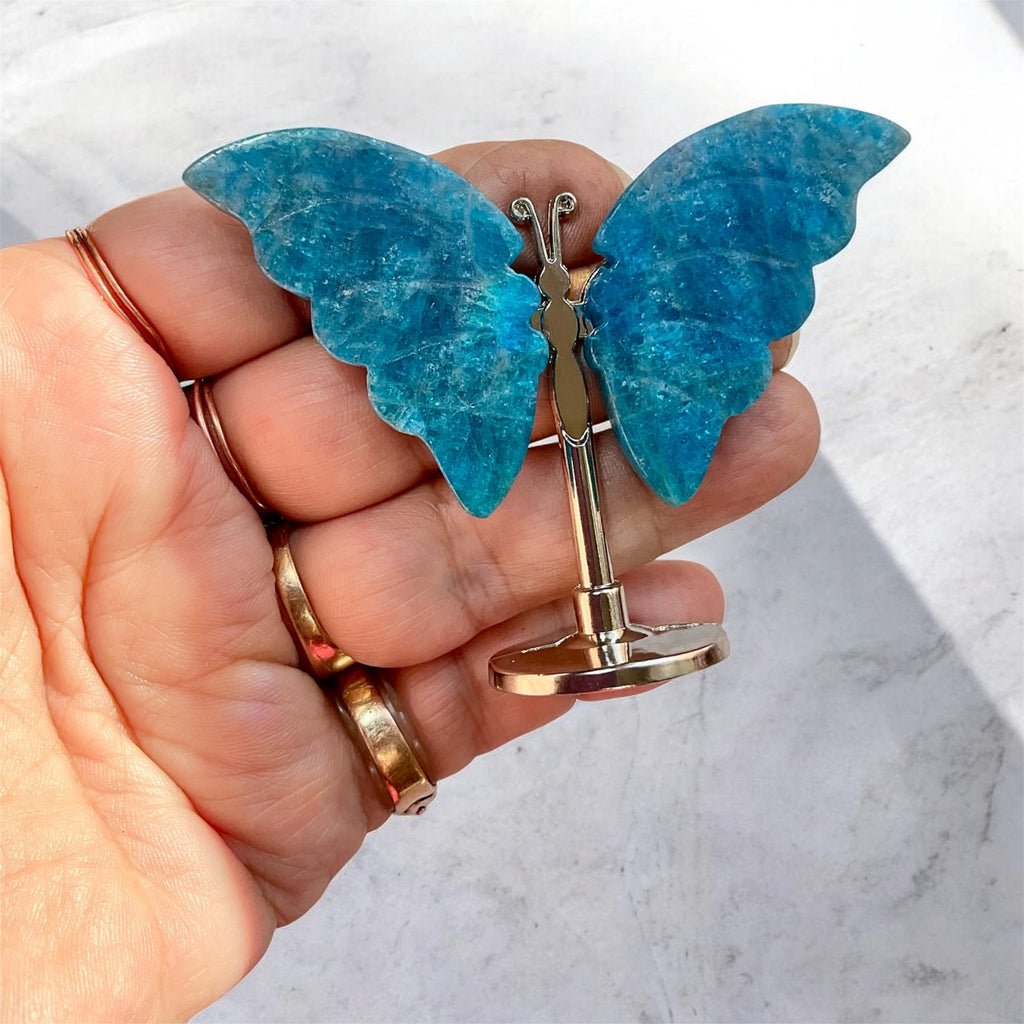 Blue Apatite Butterfly on Stand
