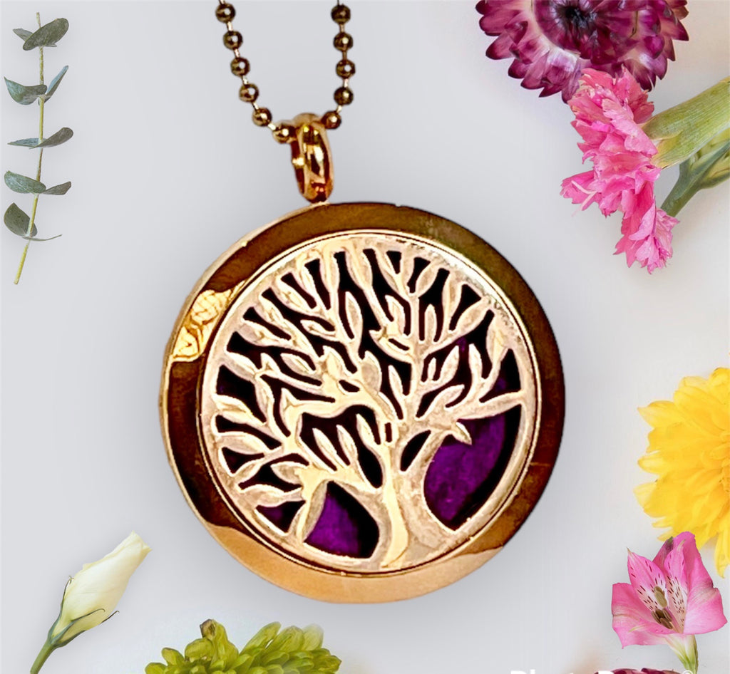 Aromatherapy Locket Pendants - Connie’s Crystals 